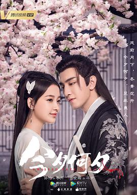 今夕何夕封面图