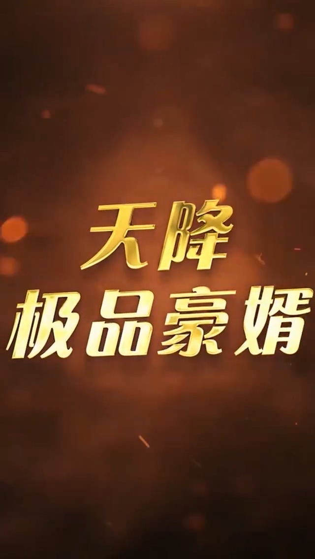 天降极品豪婿封面图