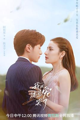 我被沐总宠哭了封面图