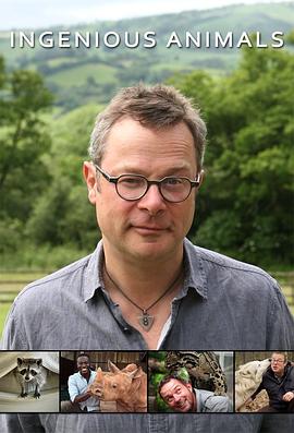 超聪明动物第一季封面图