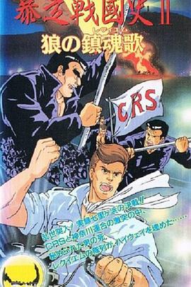 暴走战国史封面图