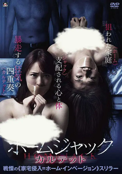 不法奸禁：四重奏封面图