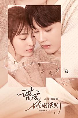 谎言使用法则封面图