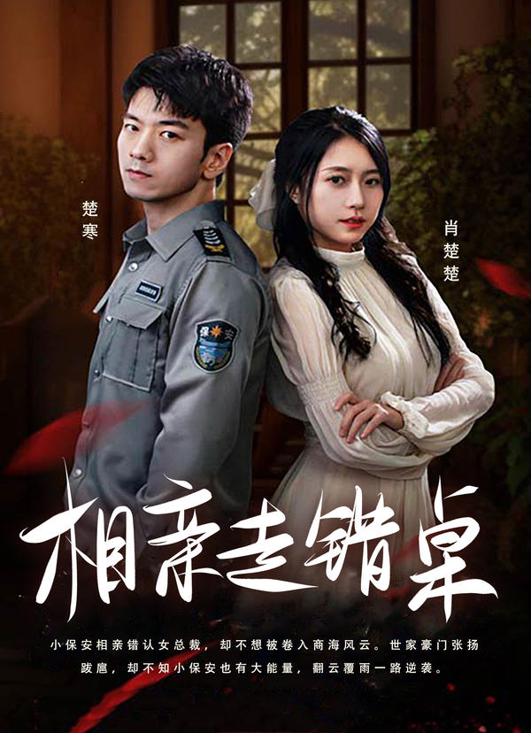 相亲走错桌封面图