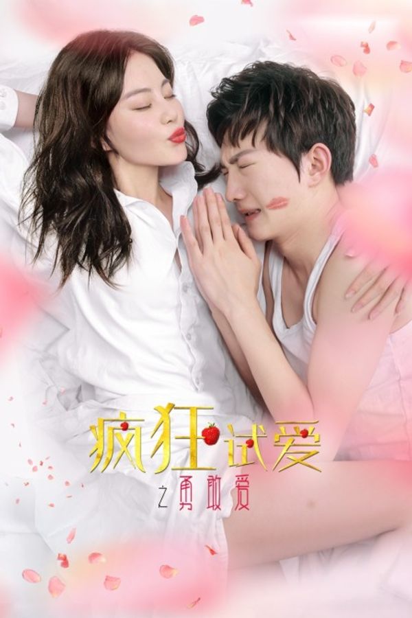 疯狂试爱之勇敢爱封面图