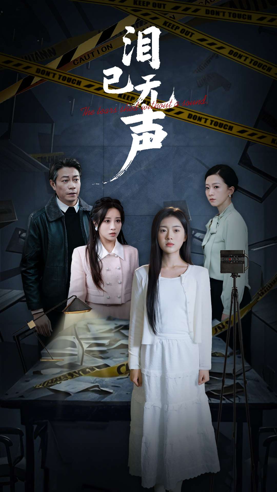 泪已无声封面图