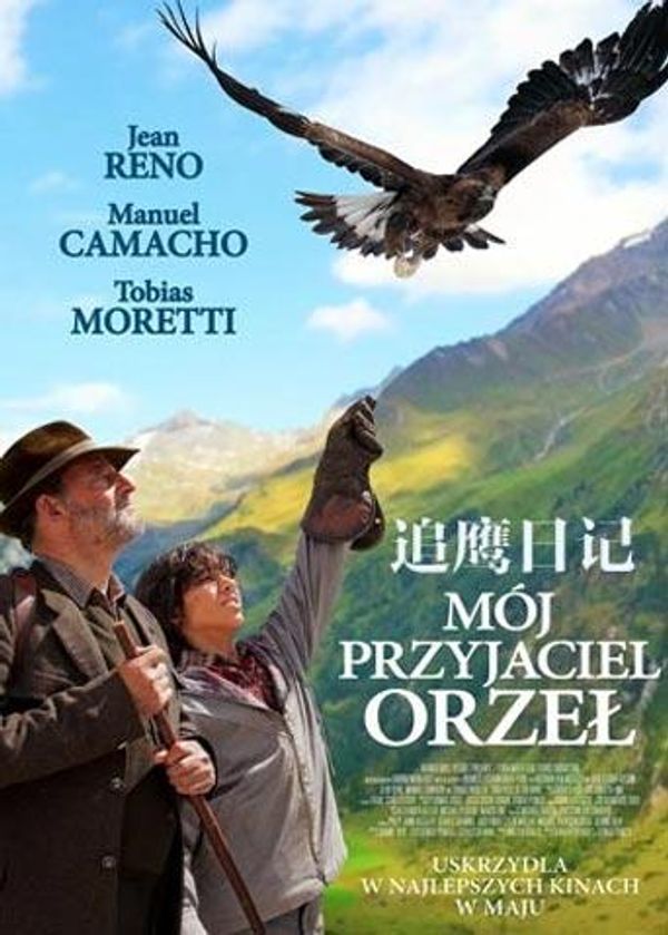 追鹰日记封面图