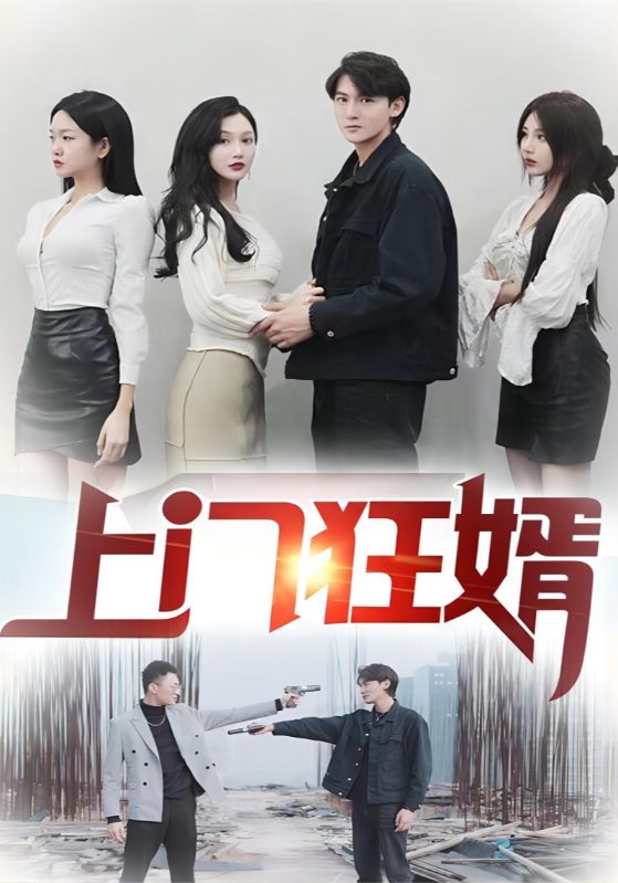 上门狂婿封面图