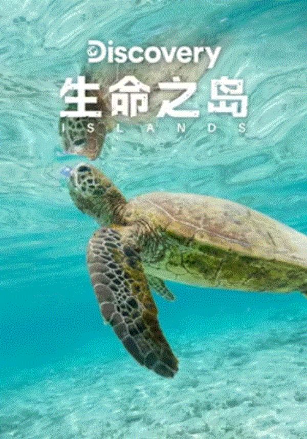 生命之岛封面图