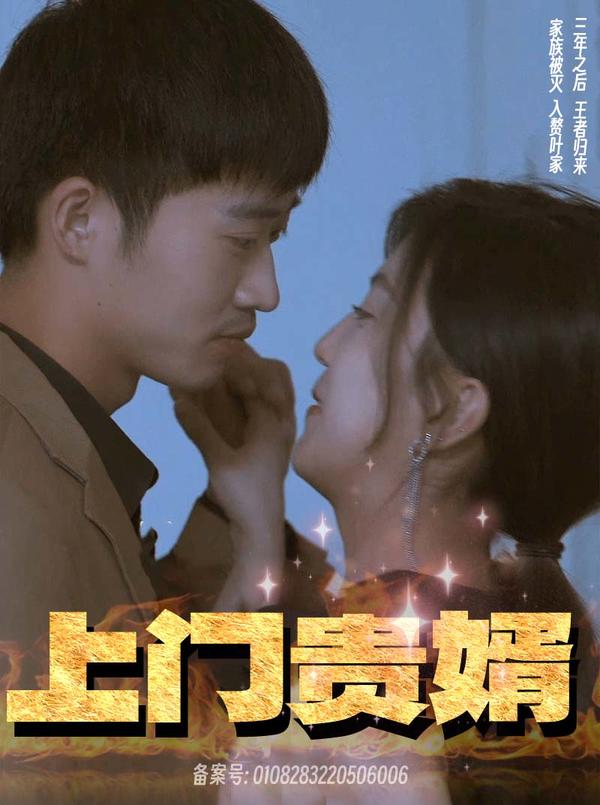 上门贵婿封面图