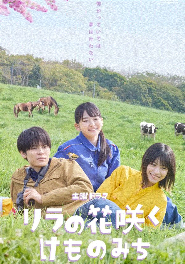 紫丁香花开的兽道封面图