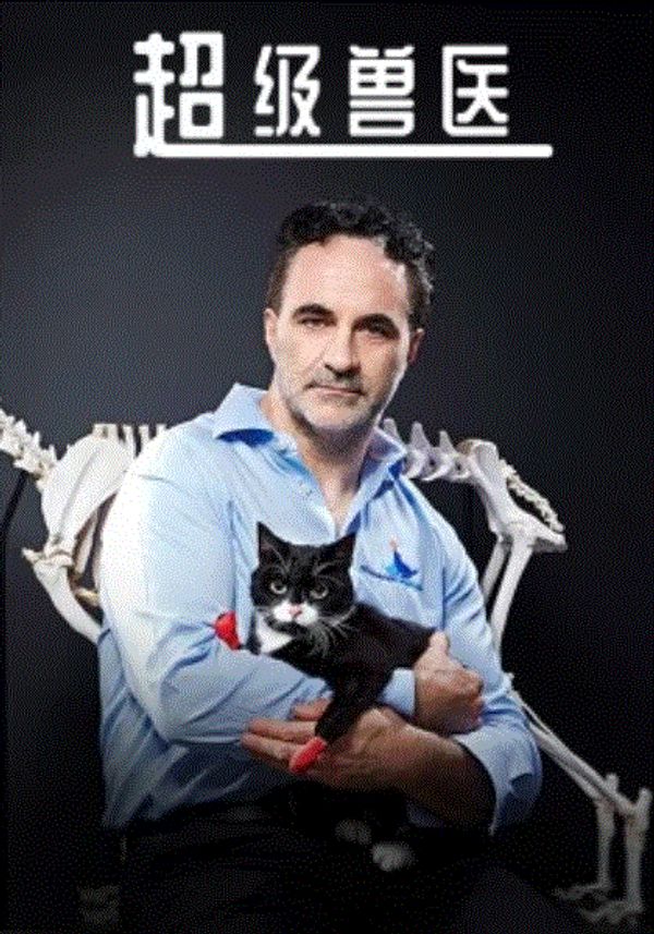 超级兽医封面图