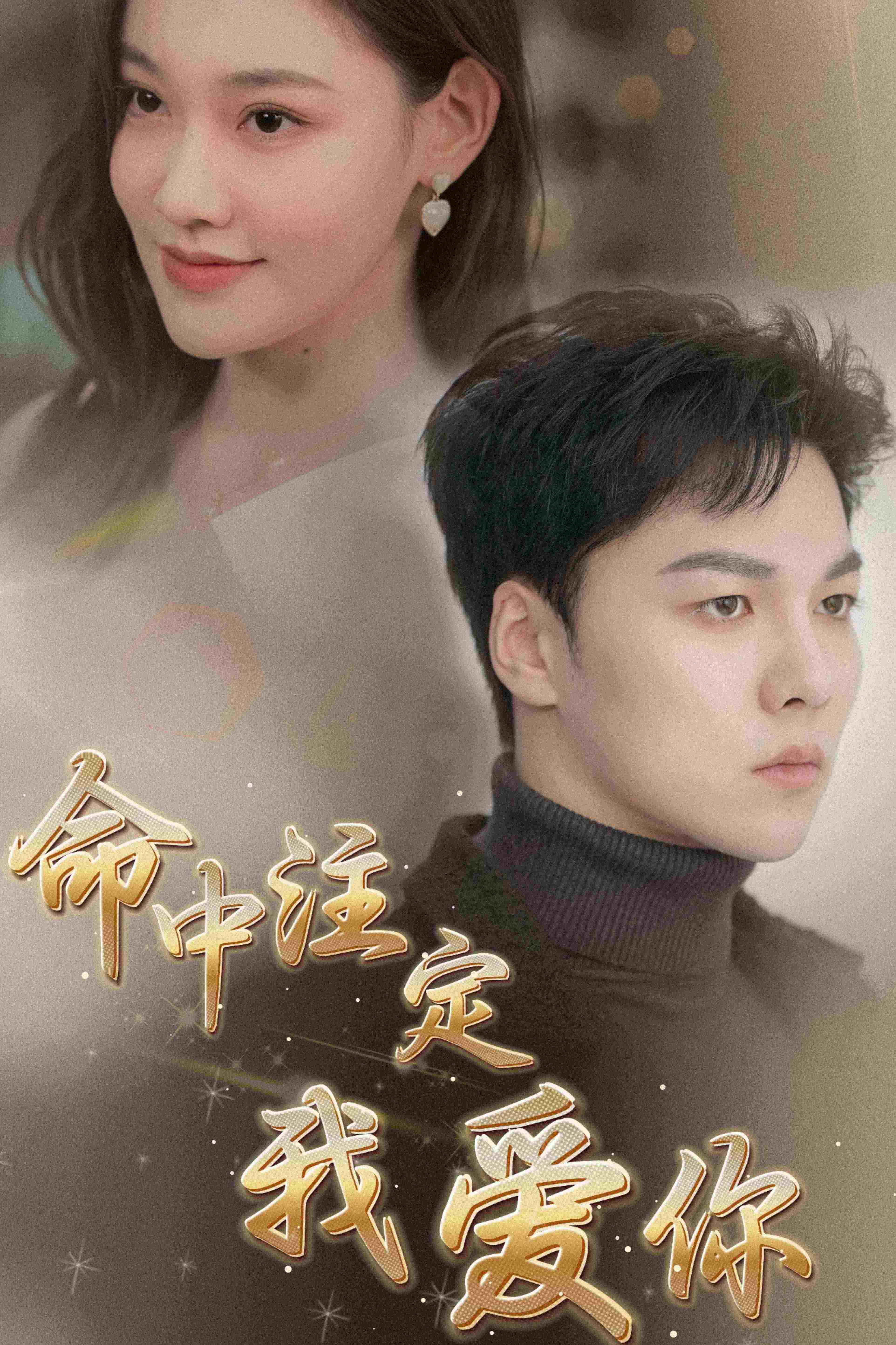 命中注定我爱你封面图