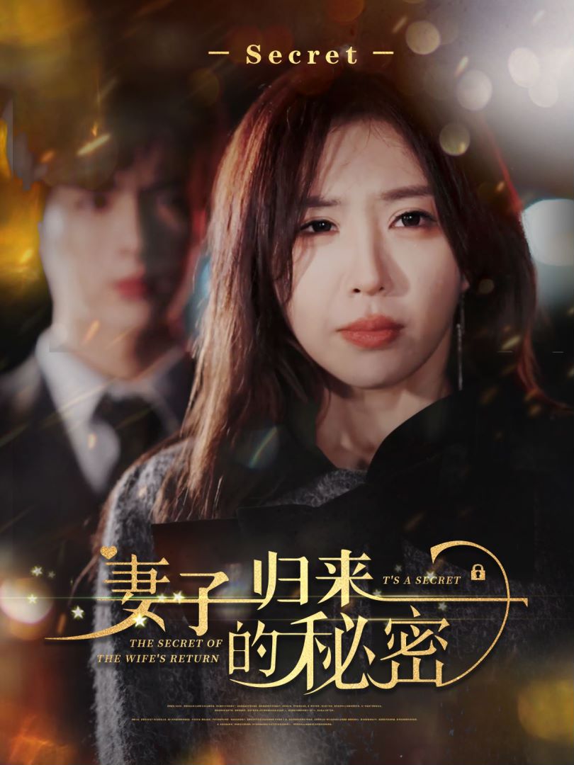 妻子归来的秘密封面图