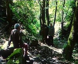 阿蒂米德的膝盖封面图