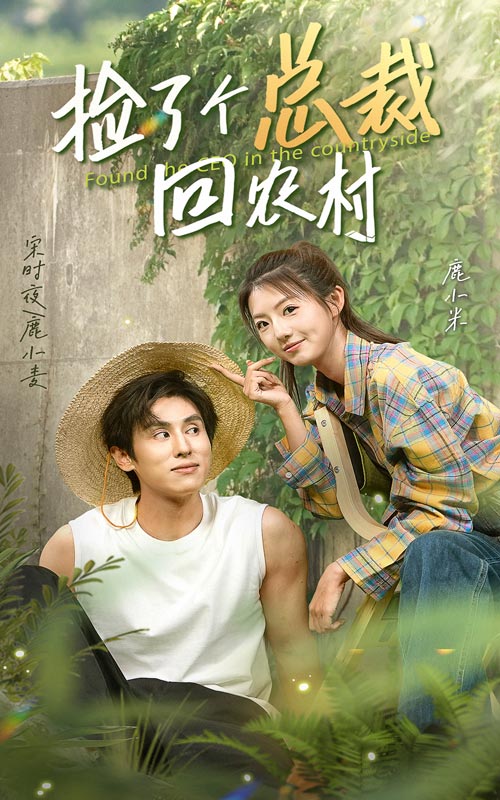 捡了个总裁回农村封面图