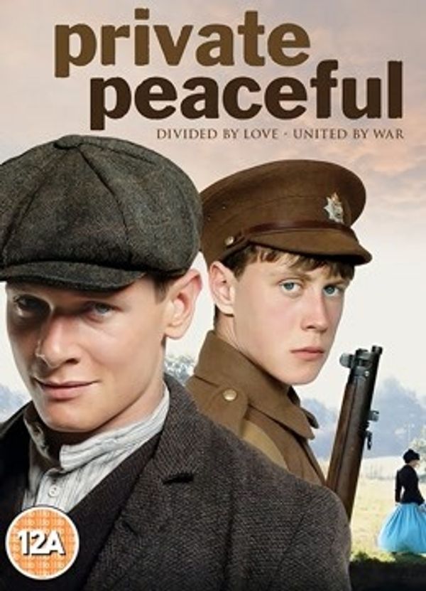 柑橘与柠檬啊封面图