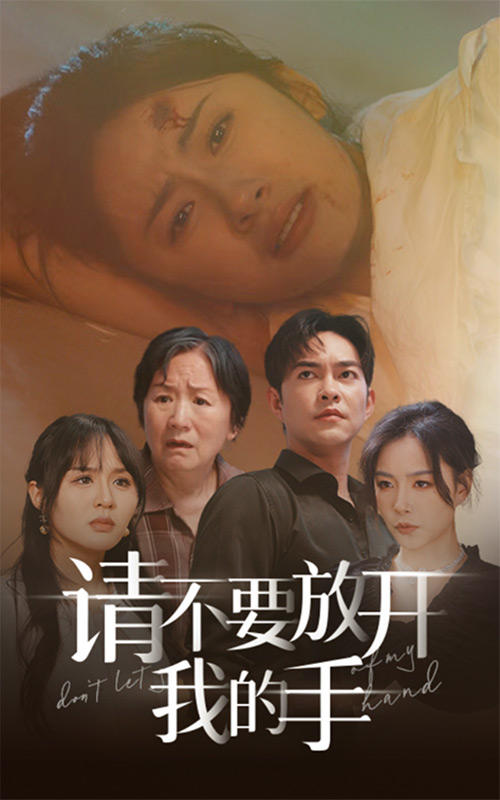请不要放开我的手封面图