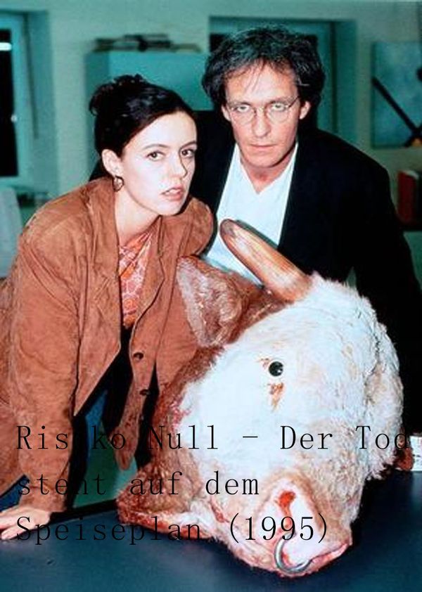 天涯追踪封面图