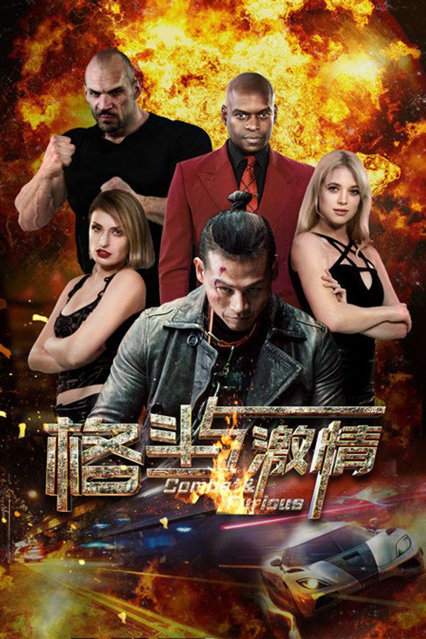 格斗与激情封面图