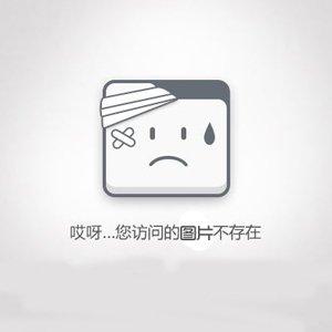 痞子双雄封面图