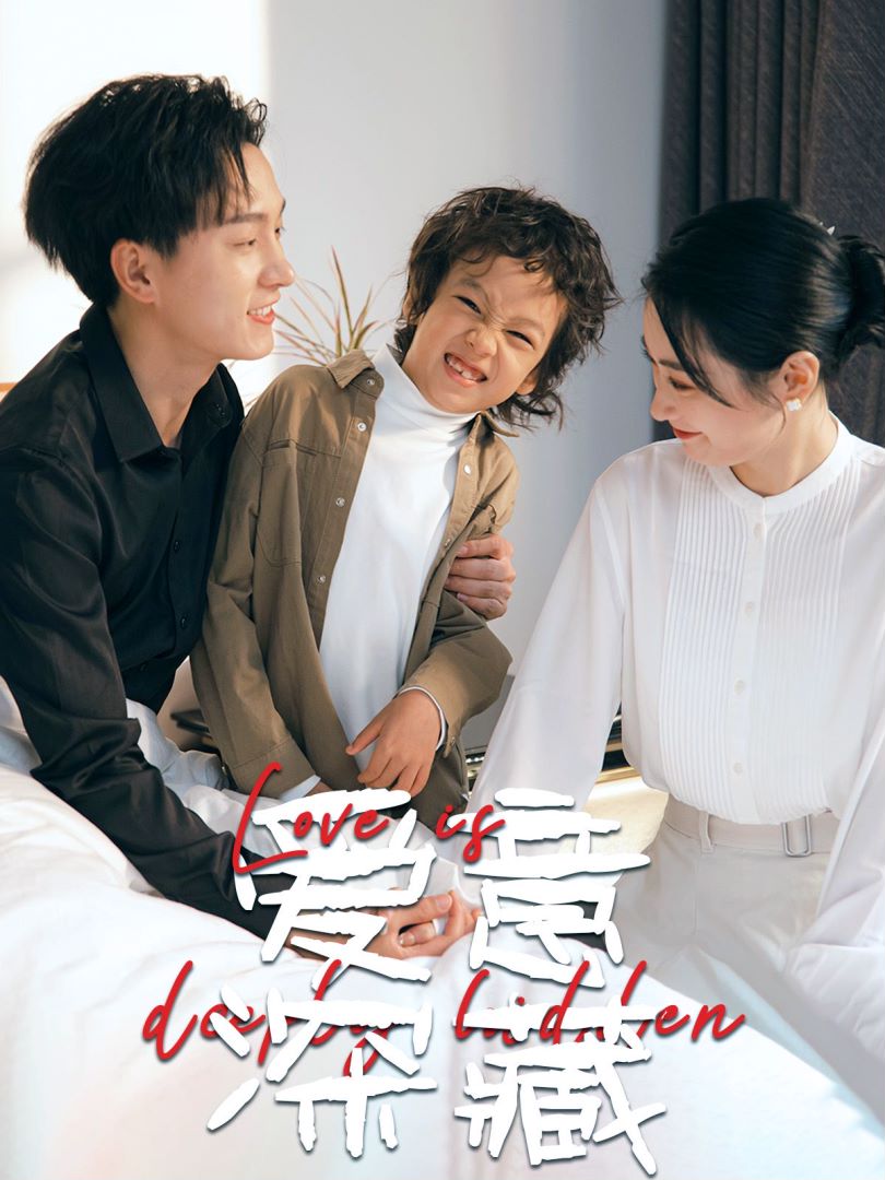 爱意深藏封面图