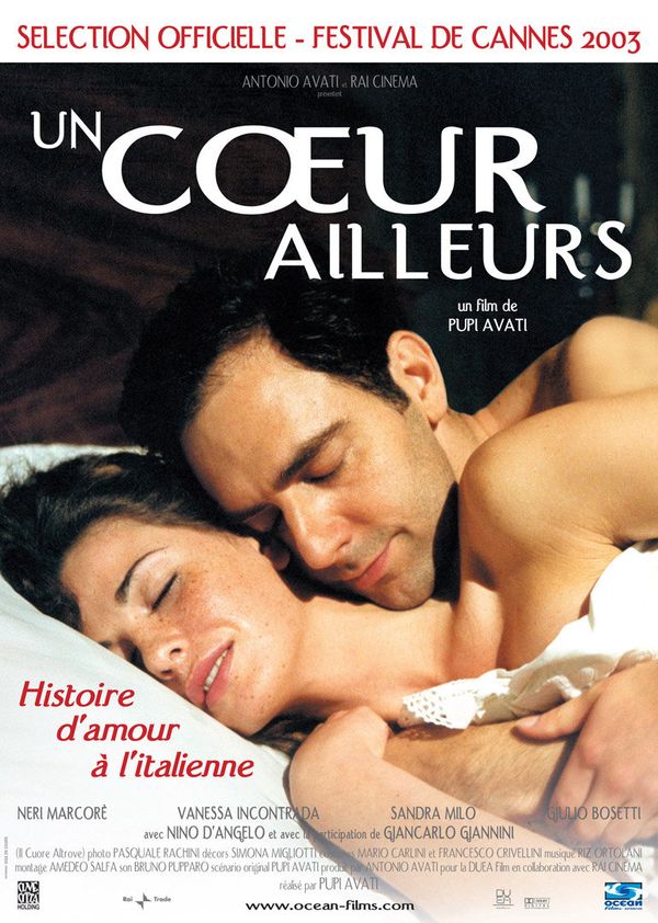 芳心别乡封面图