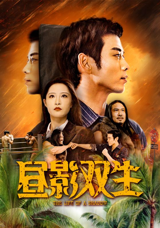 昼影双生封面图