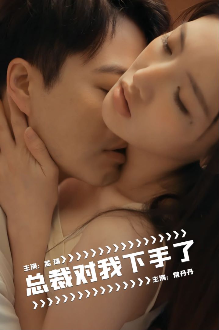 总裁对我下手了封面图