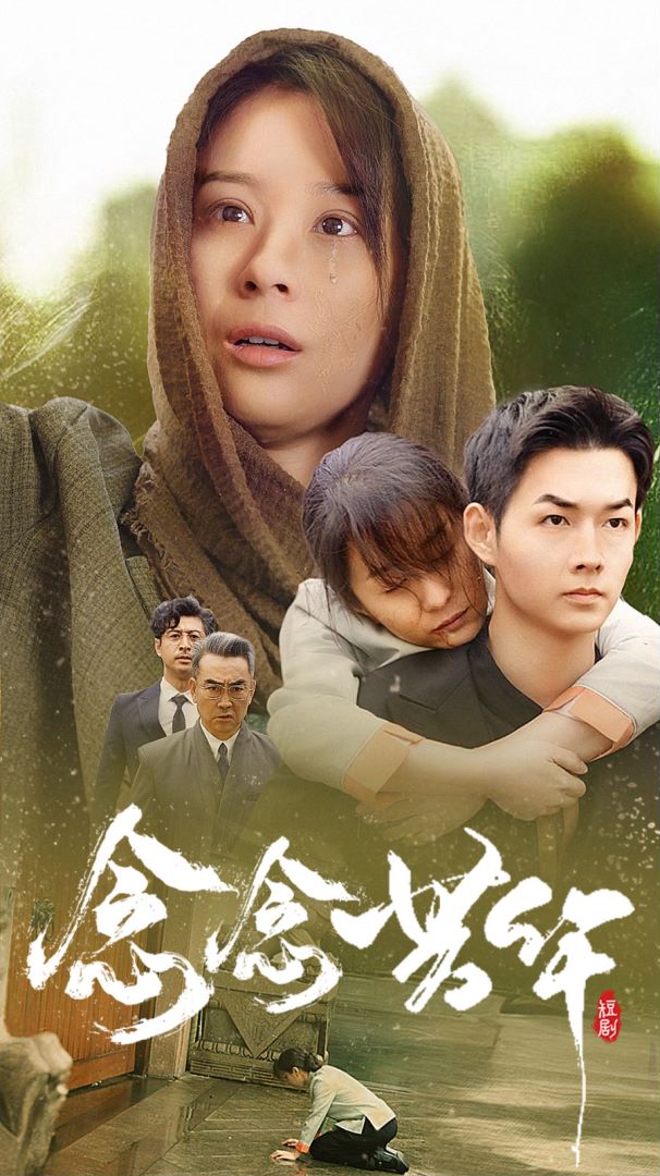 念念芳华封面图