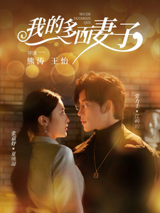 我的多面妻子封面图