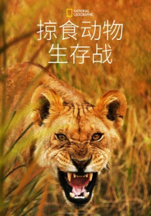 掠食动物生存战第一季封面图