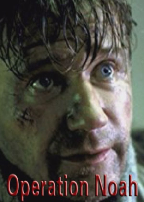 方舟行动封面图