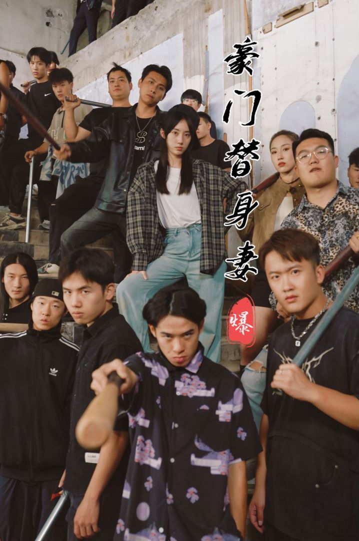 豪门替身妻封面图