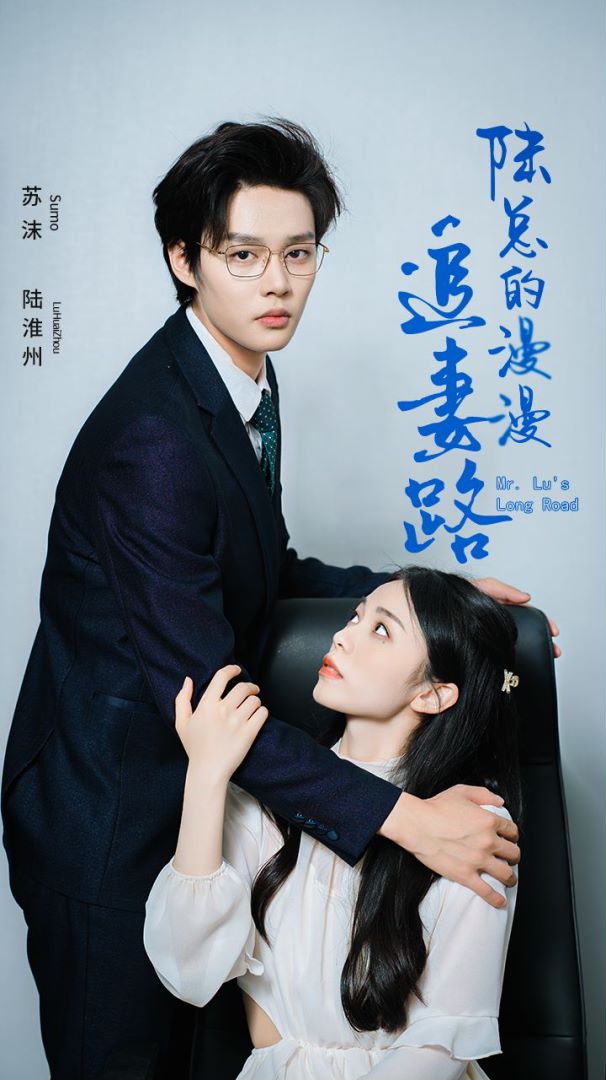 陆总的漫漫追妻路封面图