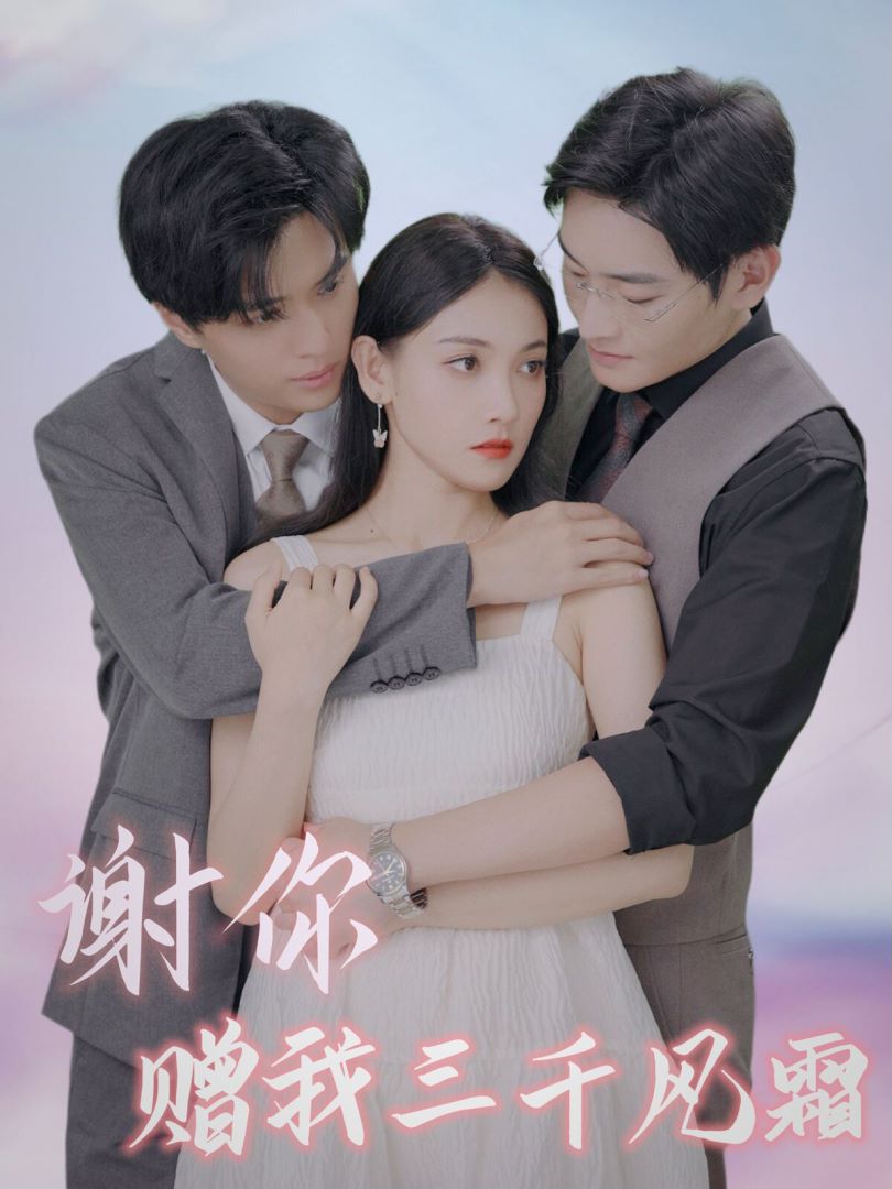 谢你赠我三千风霜封面图