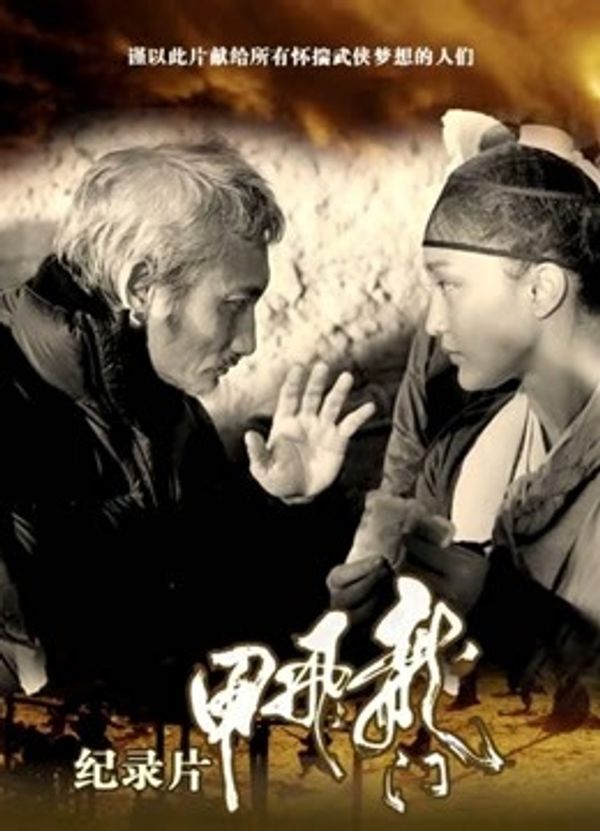 龙门飞甲纪录片封面图