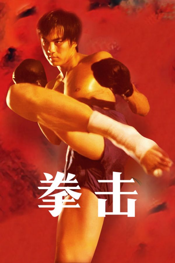 拳击封面图