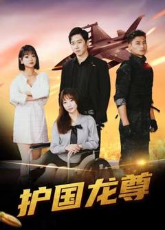 护国龙尊封面图