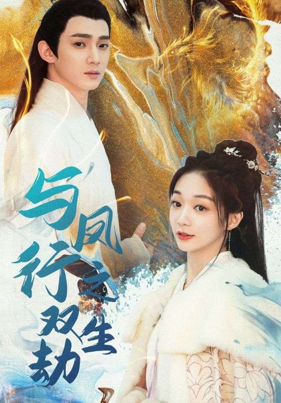 与凤行之双生劫封面图