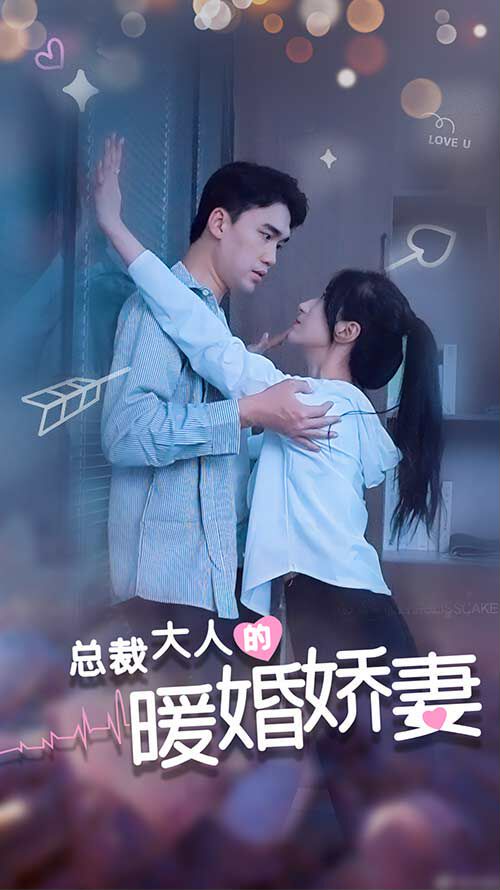 总裁大人的暖婚娇妻封面图