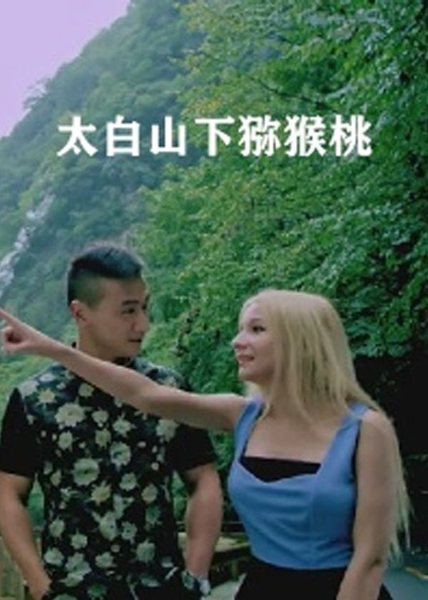 太白山下猕猴桃封面图