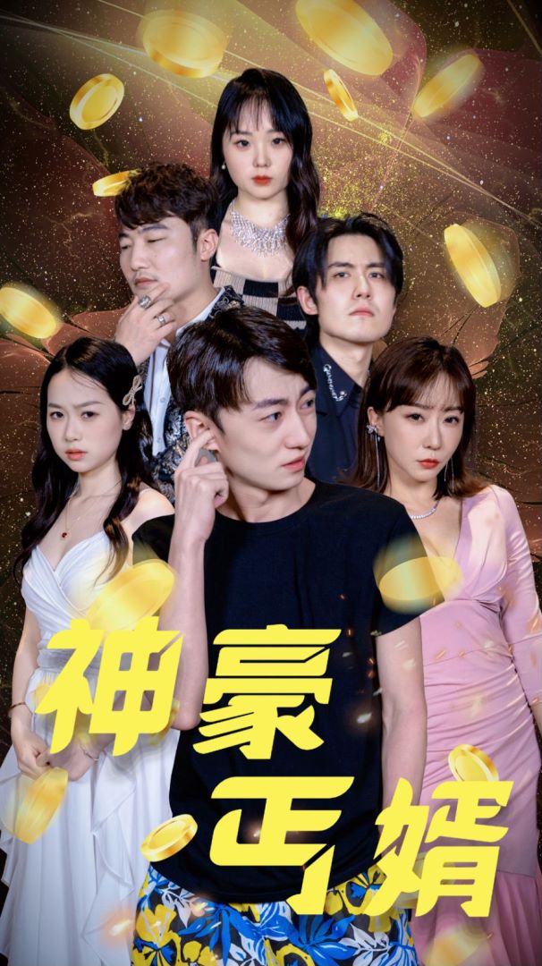 神豪丐婿封面图