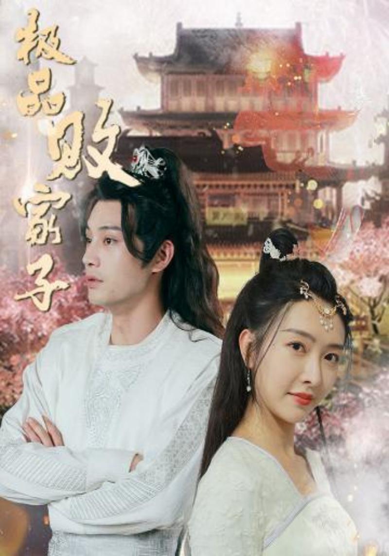 极品败家子封面图