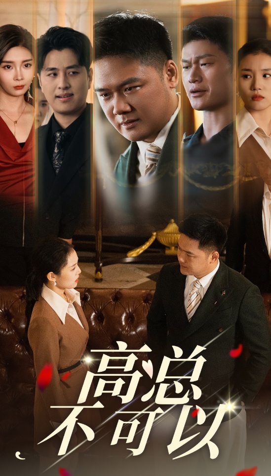 高总不可以封面图