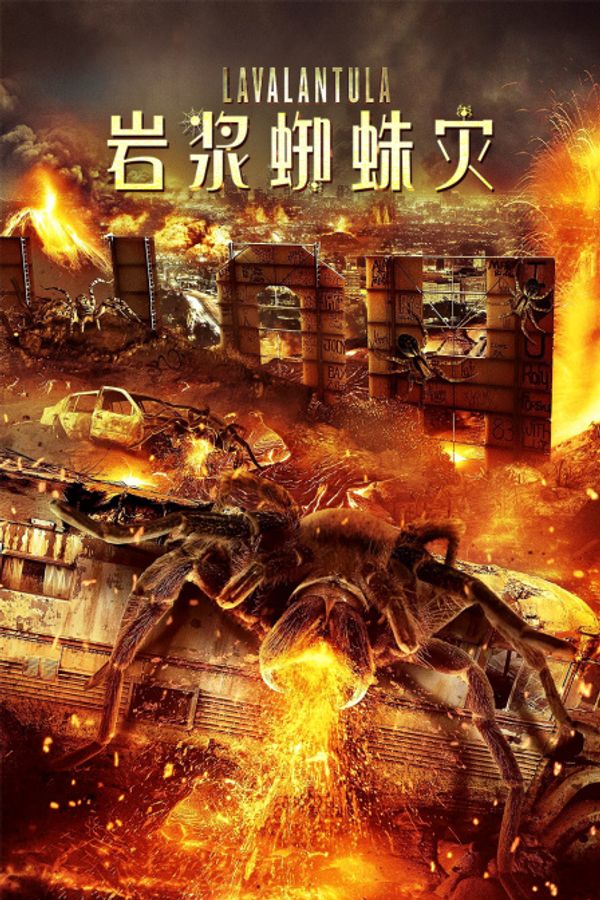 岩浆蜘蛛灾封面图
