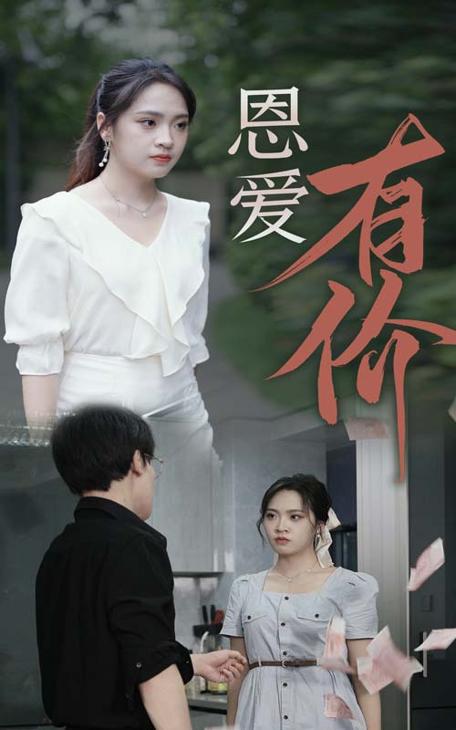 恩爱有价封面图