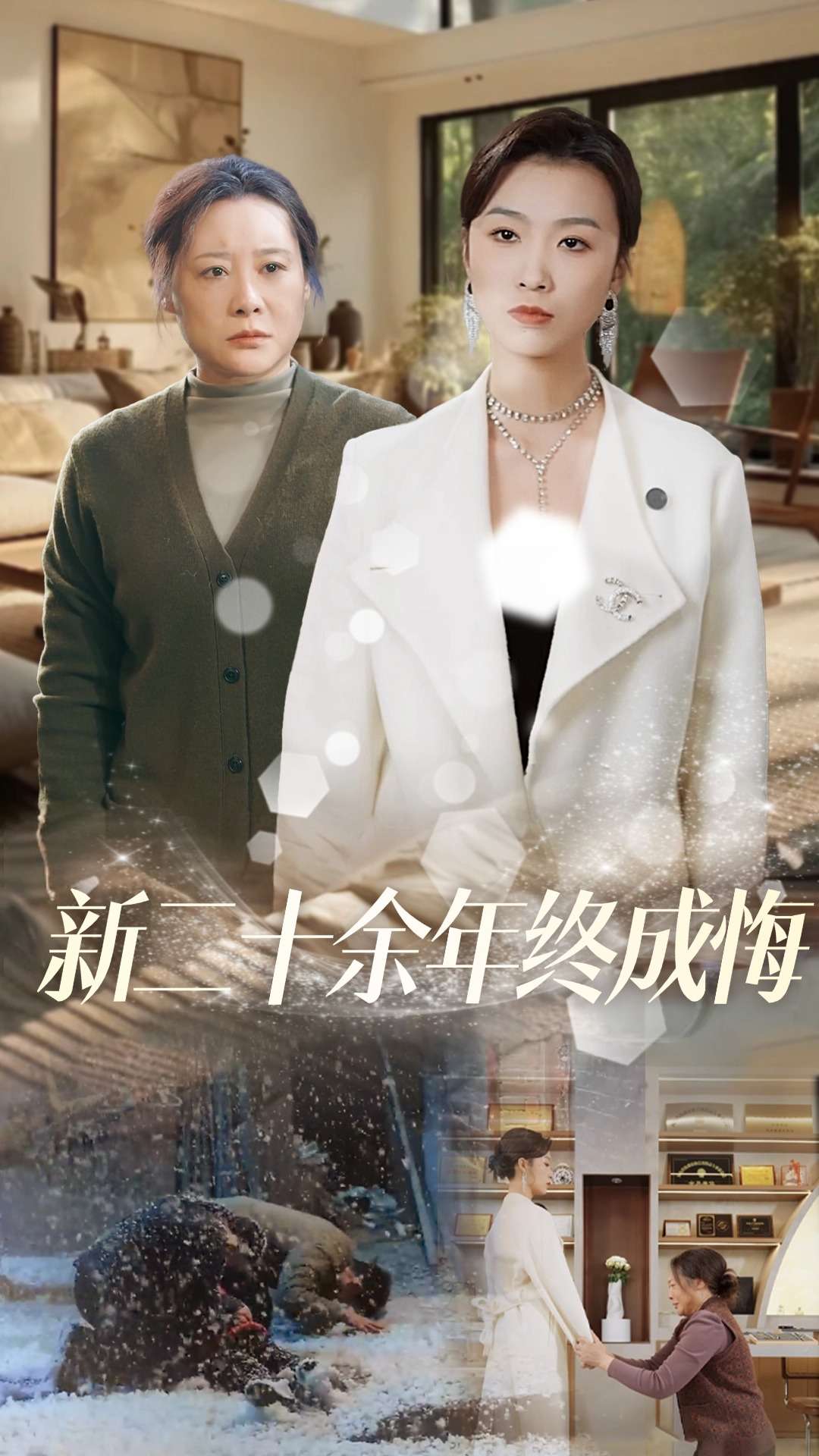 新二十余年终成悔封面图