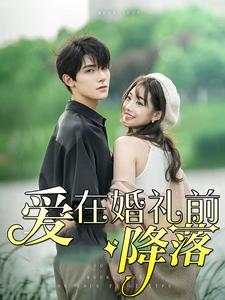 爱在婚礼前降落封面图