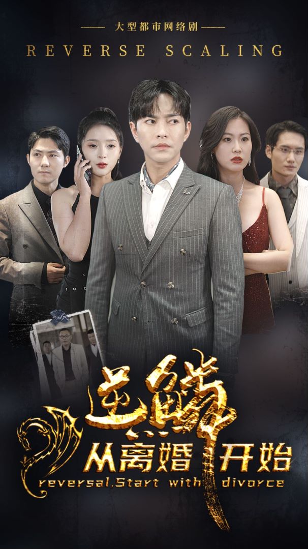 逆鳞从离婚开始封面图